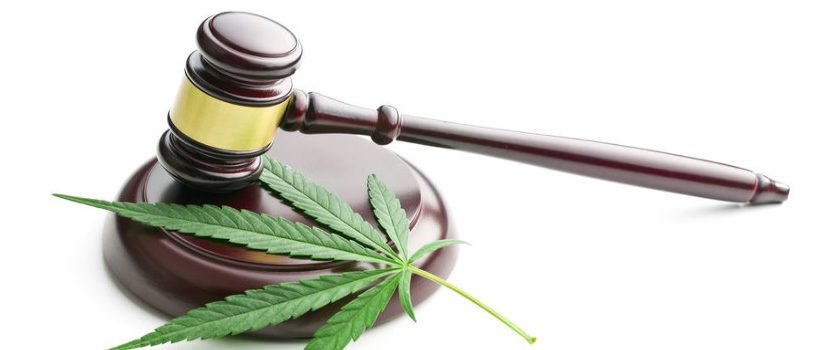 ley marihuana cannabis Uruguay